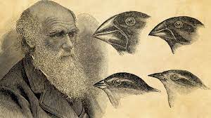 Darwin and his finches